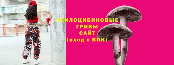 прущие грибы Абдулино