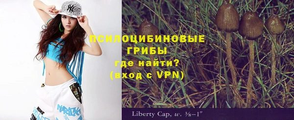spice Абаза
