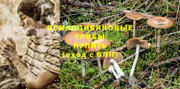 дурь Абинск