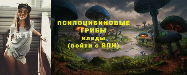 spice Абаза