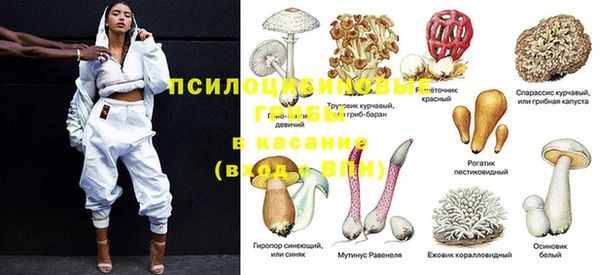 spice Абаза