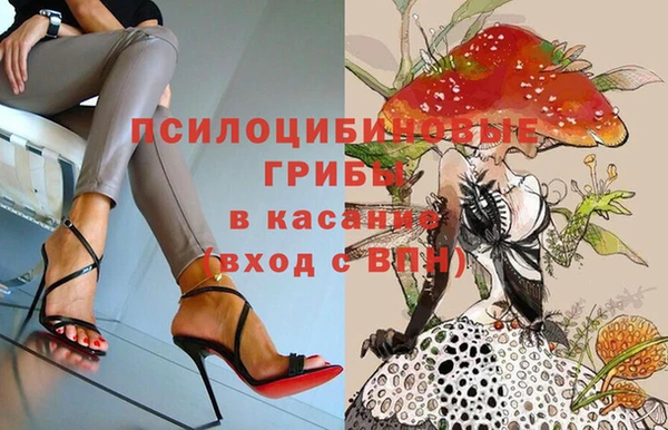 амф Алексин