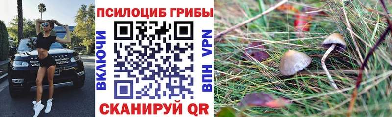 наркошоп  Струнино  Псилоцибиновые грибы GOLDEN TEACHER 