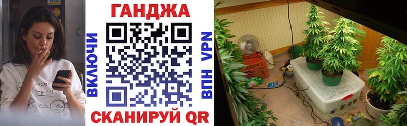 Бошки Шишки сатива  omg ТОР  Струнино 